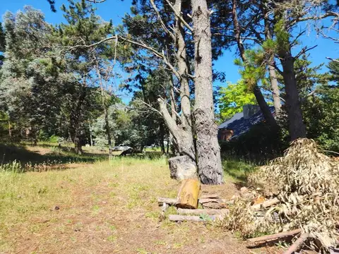 Terreno en Venta 44  mts Fondo