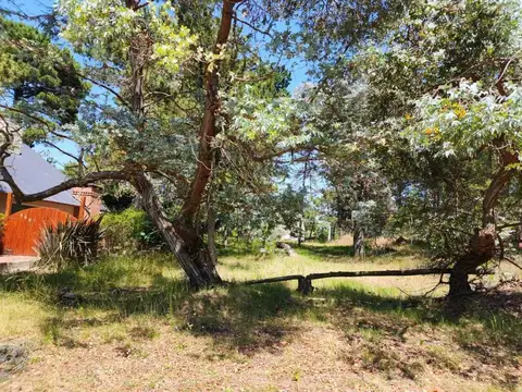 Terreno en venta - 664Mts2 - Costa Del Este