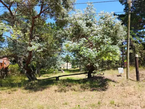 Los Crisantemos e/ Avenida 7 y Avenida 6