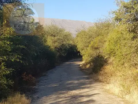 Terreno en venta - San Javier