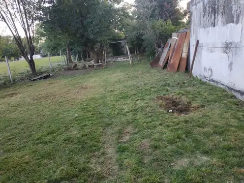 Carola Lorenzini al 800