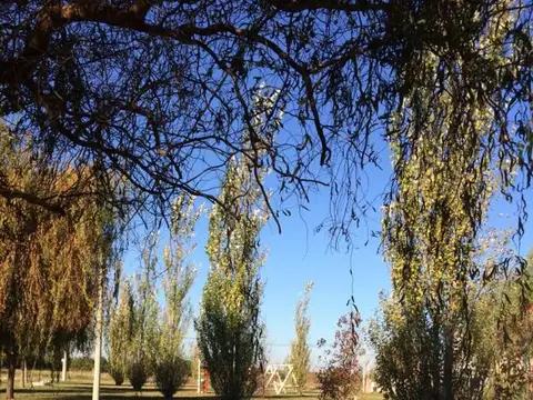 Terreno en Venta 10  mts Frente