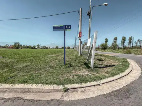 Lomas de Alicia 'Lt 18 MZ V