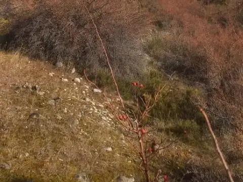 Venta 7.5 Hectáreas con construcción, ideal inversión