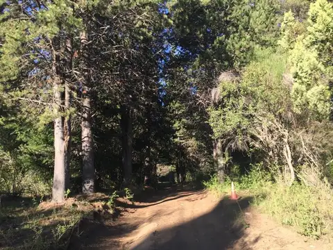 Venta 7.5 Hectáreas con construcción, ideal inversión