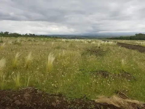 Terreno en Venta en Santa Rosa De Calamuchita, USD 20.000