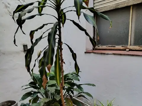 2 DEPARTAMENTOS EN BLOCK EN PLANTA BAJA