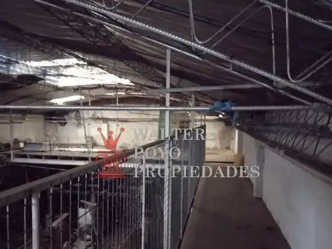 Galpon en Venta en Quilmes Oeste, USD 187.000