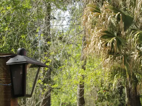 Arroyo Reyes y Río Sarmiento - DELTA TIGRE 1ERA SECCION