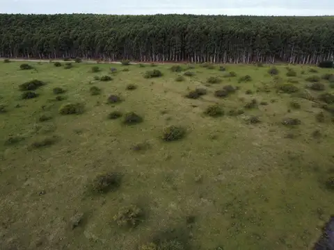 Campo en Venta de 54  ha