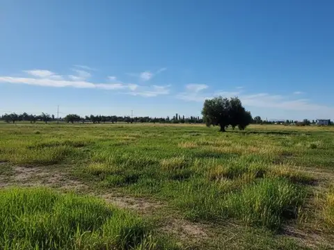 Terreno en Venta de 2000,0 m2