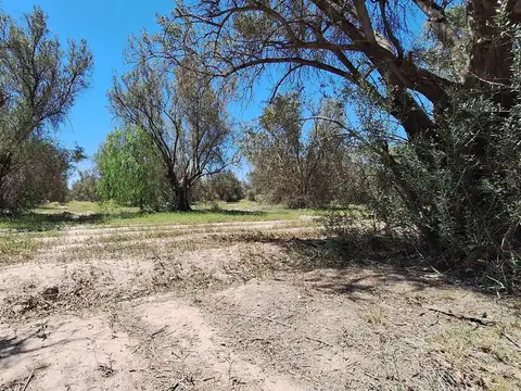 Callejón C. García  El Sauce Guaymallén