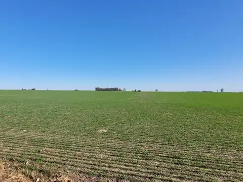 Venta Campo 12 Ha - Roldán