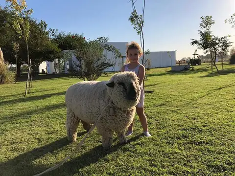 Campos De La Enriqueta