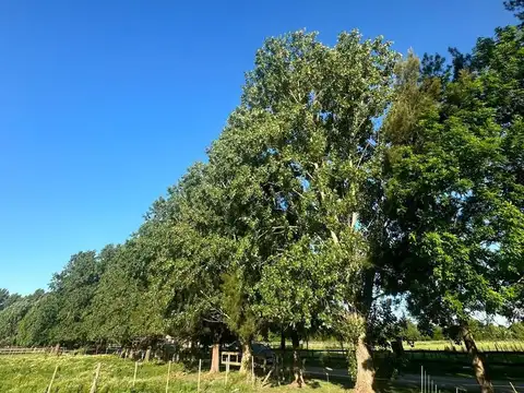 Terreno en Venta en El Malacate, USD 56.000