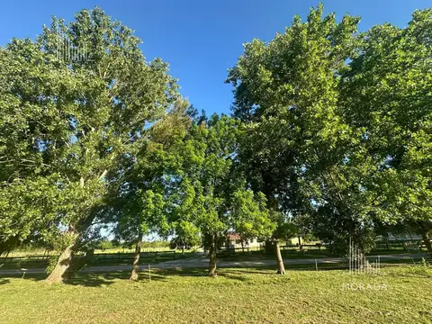 VENTA lote 5011 m2 CENTRAL con Arboleda en Exaltación de la Cruz