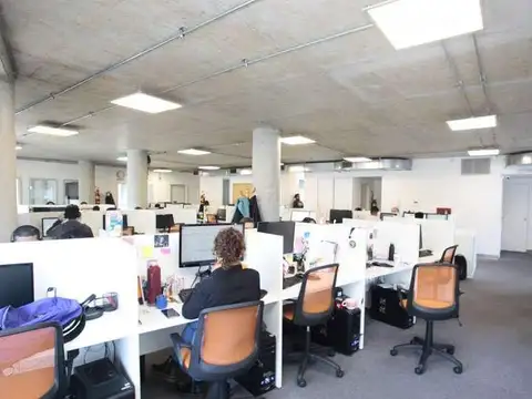 Bonpland 1281 5° 501