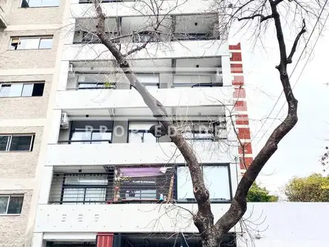 Villaroel al 1300. Entre Fitz Roy y Humboldt