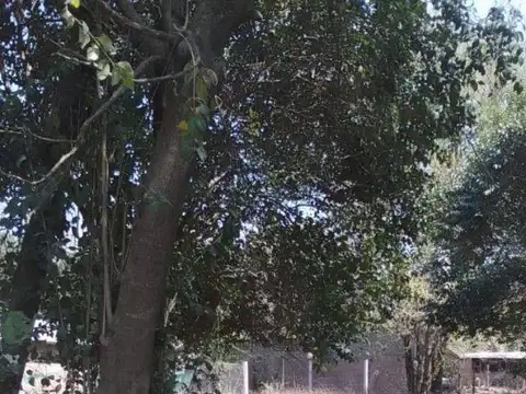 Terreno en Venta de 322,0 m2