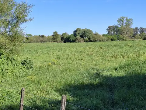 Quinta en Venta en General Madariaga, USD 60.000