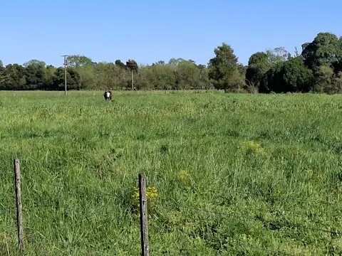 Quinta en Venta en General Madariaga, USD 60.000