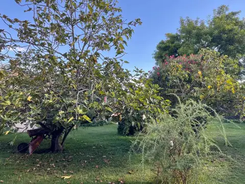CASA EN VENTA EN COLON BUENOS AIRES