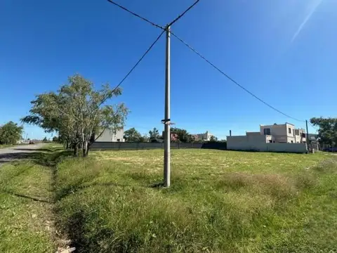 Boulevard De Las Gracias 100