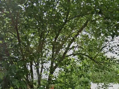 Terreno en Venta en Francisco Alvarez, USD 23.000