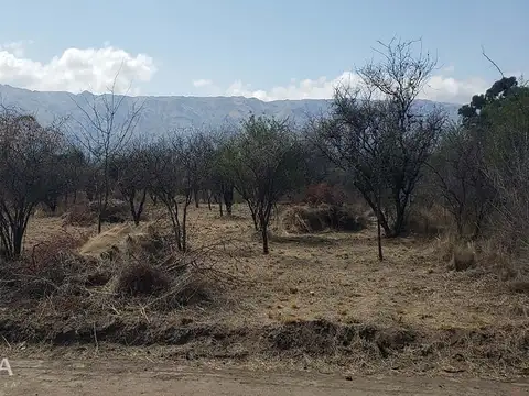 Terreno en Venta en Los Troncos, USD 15.000