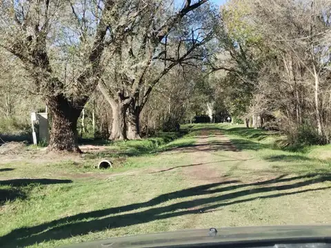 Terreno en Venta en Zavalla, USD 37.000