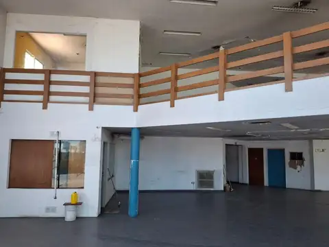 Felix San Martin 1400