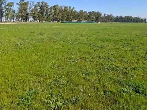 Terreno en Venta de 1000,0 m2