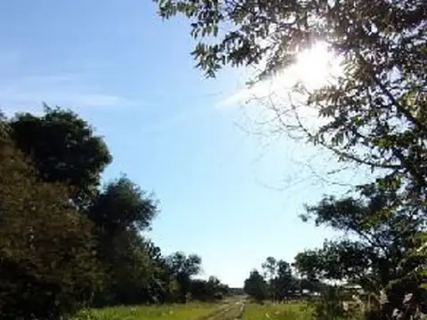 Terreno en Venta de 781,0 m2