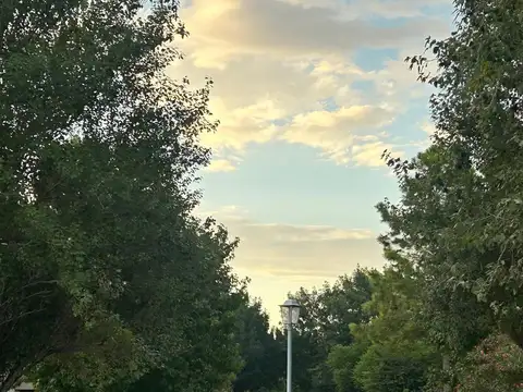 Terreno en Venta 16  mts Frente