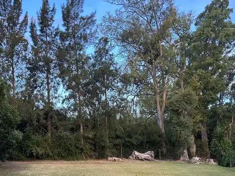 TERRENO DE 1052 M2 EN VENTA, BARRIO LA CODORNIZ, LOS CARDALES