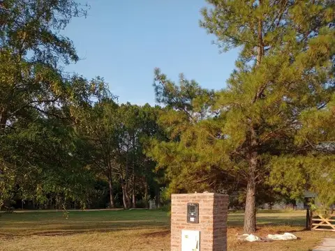 B2812 Exaltación de la Cruz