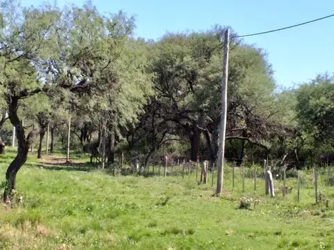 Terreno en Venta de 1700,0 m2