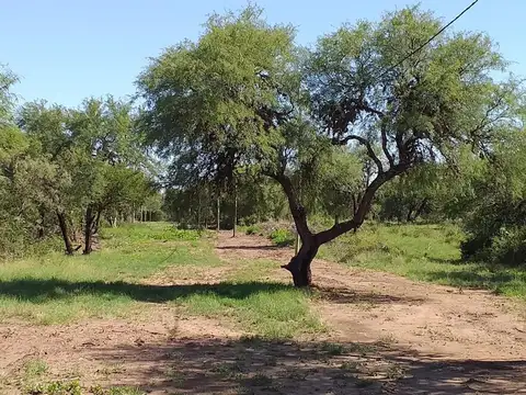 Lote en Esquina – 1.700 m² – Tía Blanca, Carpintería