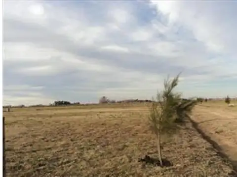 Terreno en Venta de 2000,0 m2