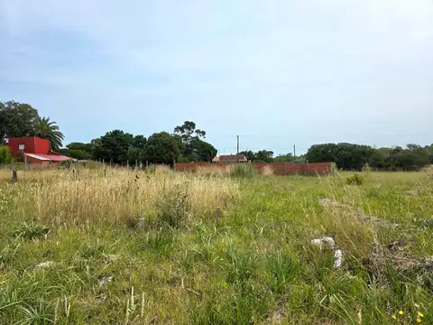 Terreno en Venta 40  mts Fondo