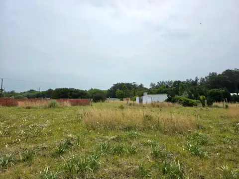 Dos terrenos sobre lote de 1.480 m² — San Eduardo del Mar, Mar del Plata