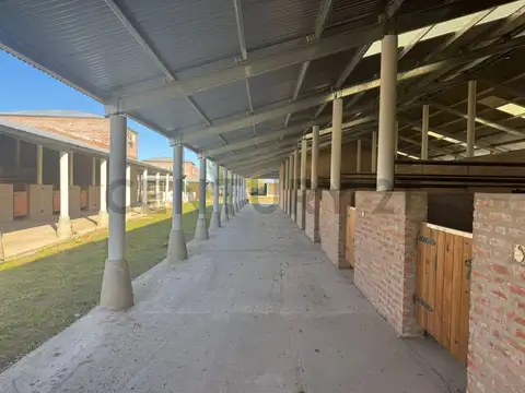 CABALLERIZAS DE POLO CON 3 DEPARTAMENTOS