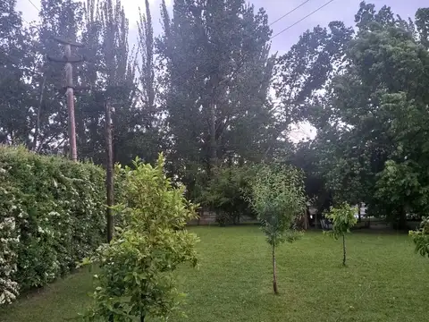 Almirante Brown 1500