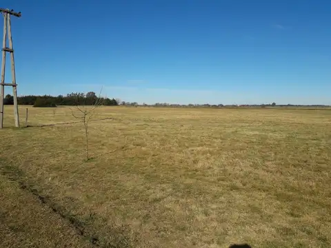 Terreno en Venta de 15000,0 m2