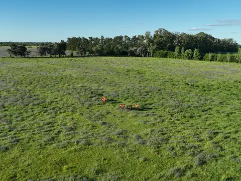 Campo en Venta de 20  ha