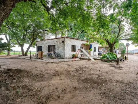 Campo con Casa de tres dormitorios en Fighiera