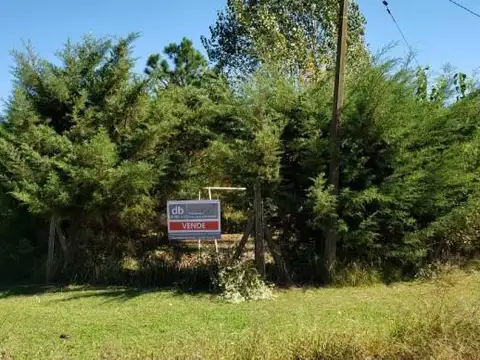 Vicente Lopez y Planes al 4700