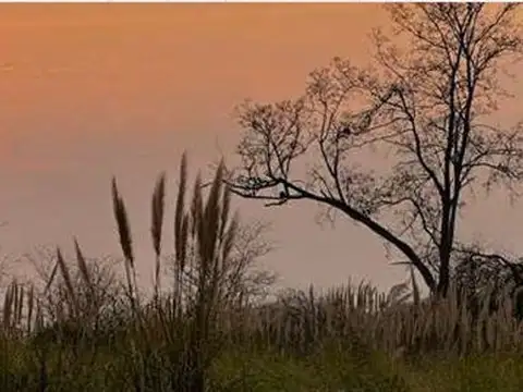 Venta Lote 800m2 Barrio Verde Las Moras Pontevedra