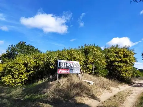 Calle 29 e/ Mar del Plata y Punta del Este 100