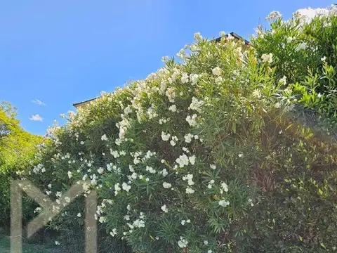 Terreno Lote  en Venta en El Golf, Nordelta, Tigre